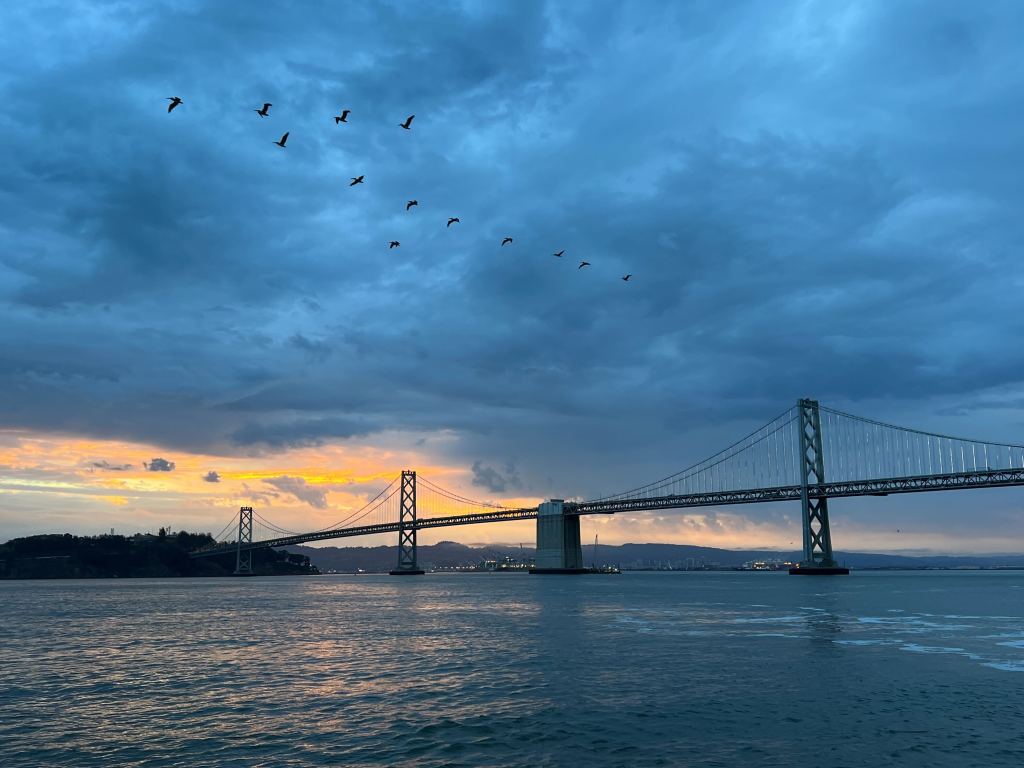 Sunrising behind the Bay Bridge. Photo Credit: Corrina Cohen